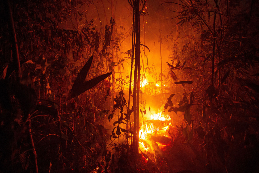 Lángol a dzsungel a Rondonia brazil szövetségi államban lévő Porto Velho közelében.