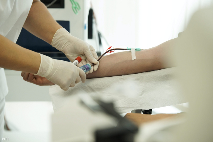 Egy donor vért ad a véradók világnapján