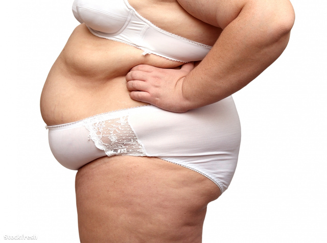 stockfresh 566293 overweight-woman-body-in-underwear sizeM