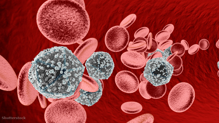 HIV-vírus a véráramban.