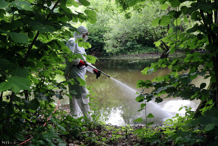 Deploying mosquitocide near Miskolc on 6 June 2017.