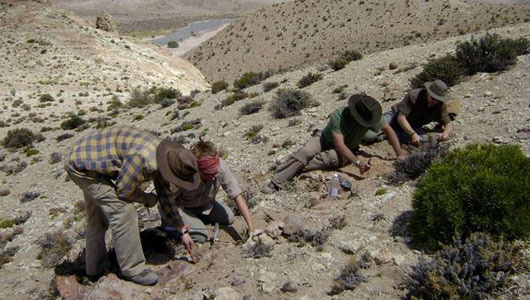 Kutatók vizsgálják a leletet Patagóniában
