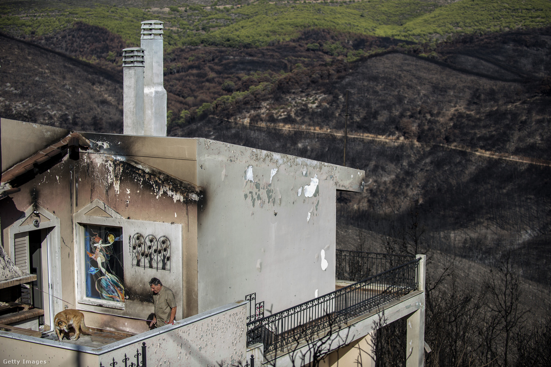 House damaged by wildfires in the town of Mati, East of Athens.