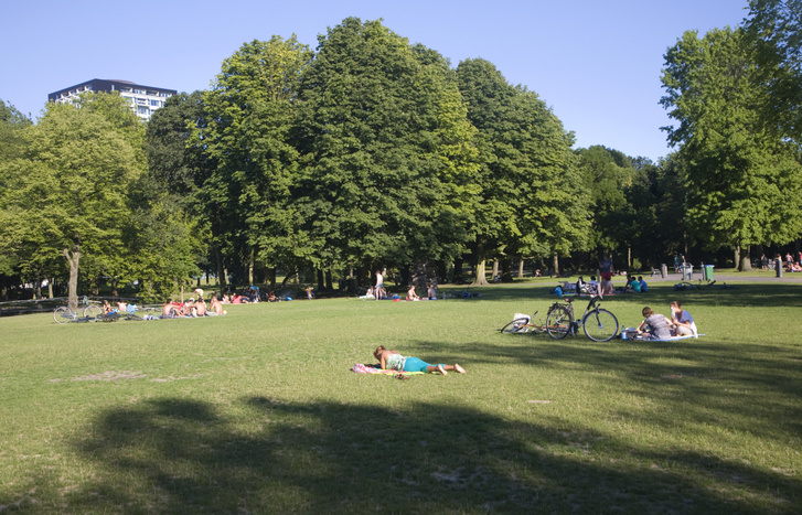 A Het Park Rotterdamban