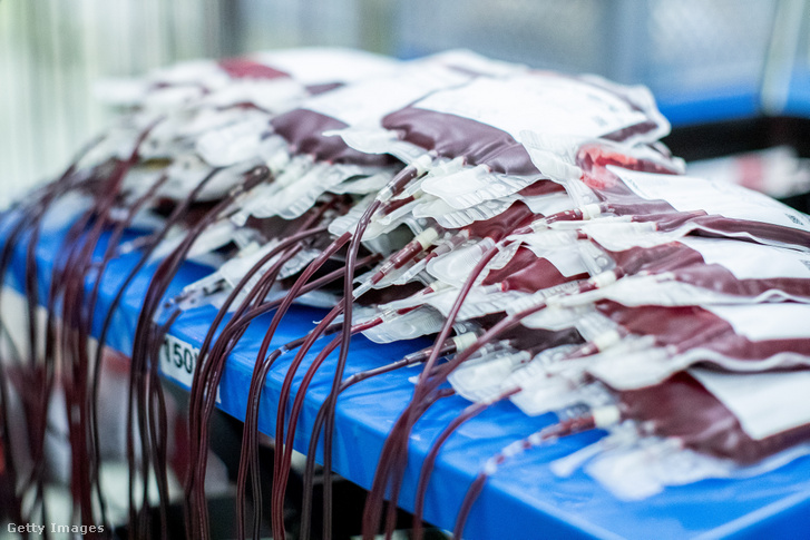 Vértartalék Európa legnagyobb vérbankjában a németországi Hagenben.