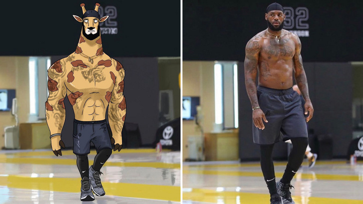 lebron-zsiraf