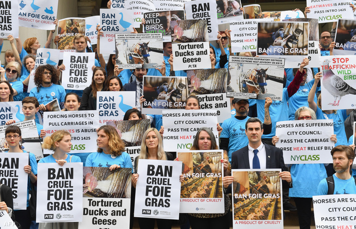 Állatvédők a foie gras forgalmazása ellen tiltakoznak New Yorkban 2019. június 18-án