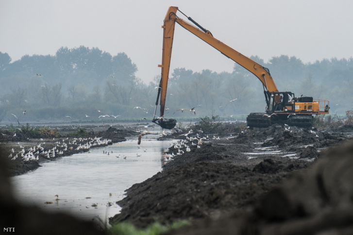 Uniós forrásból élőhely-fejlesztési munkálatok a tiszaalpári Nagy-tó területén 2016-ban
