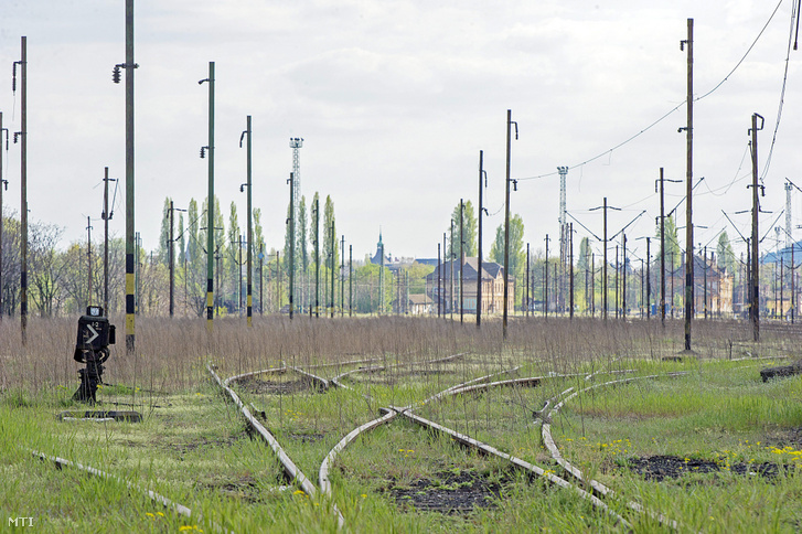 Használaton kívüli vasúti pálya Budapest XIV. kerületében, a Rákospatak utcában 2015-ben