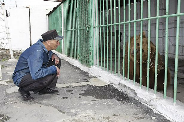 0 PAY-Life-sentence-bear-Ekaterina 1 East2west-news