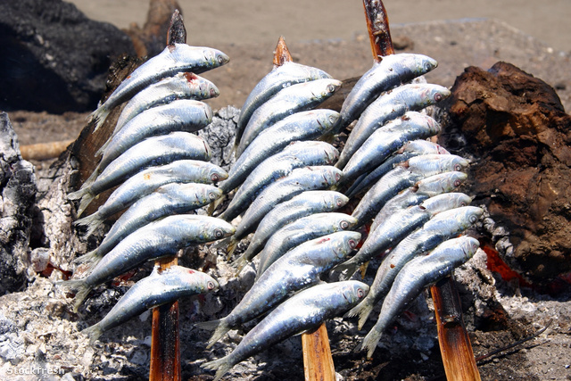 stockfresh 685907 sardines sizeM