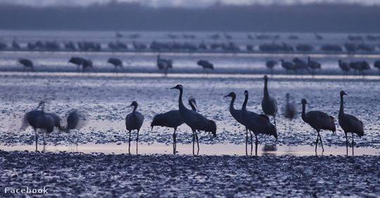 78695759 2467798613341832 1956139977335111680