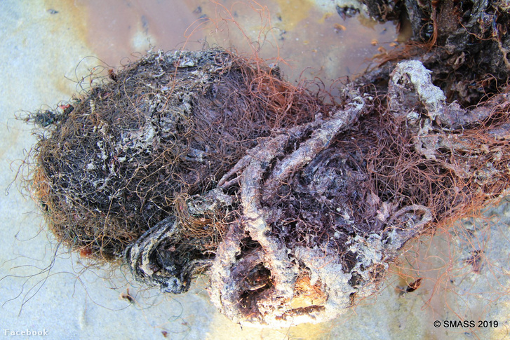A bálna gyomrában talált hulladék egy része