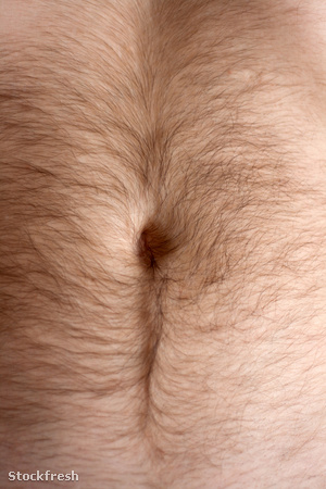 stockfresh 1107535 male-hairs-belly-bellybutton sizeM