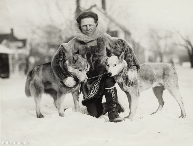 Leonhard Seppala a kutyáival
