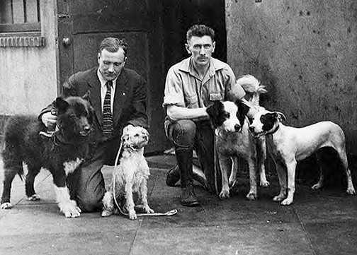 Gunnar Kaasen amerikai turnéján Baltóval és más kutyákkal, akik részt vettek a megpróbáltatásokban
