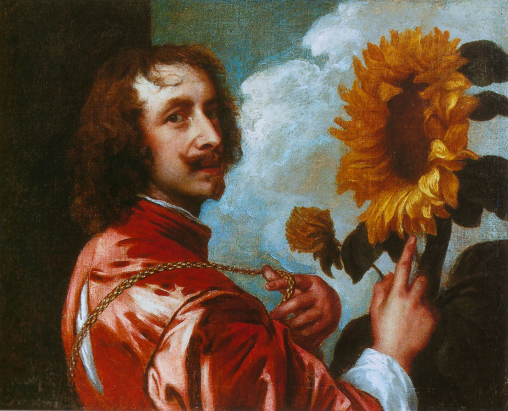 Anthonis van Dyck - Önarckép napraforgóval