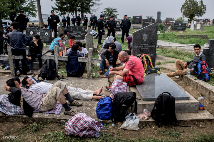 Egy temetőben alszik több száz menekült Sidnél 2015. szeptember 24-én. Az ittlévőket a szerbek hozták buszokkal.