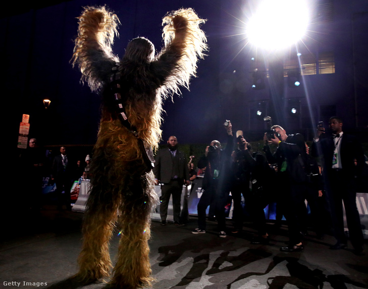Chewbacca a Star Wars: Skywalker kora bemutatóján decemberben Hollywoodban