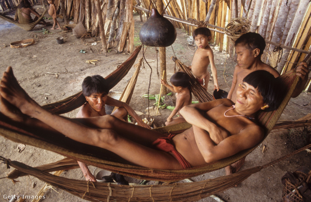 A venezuelai yanomami indián törzs tagjai függőágyban pihennek