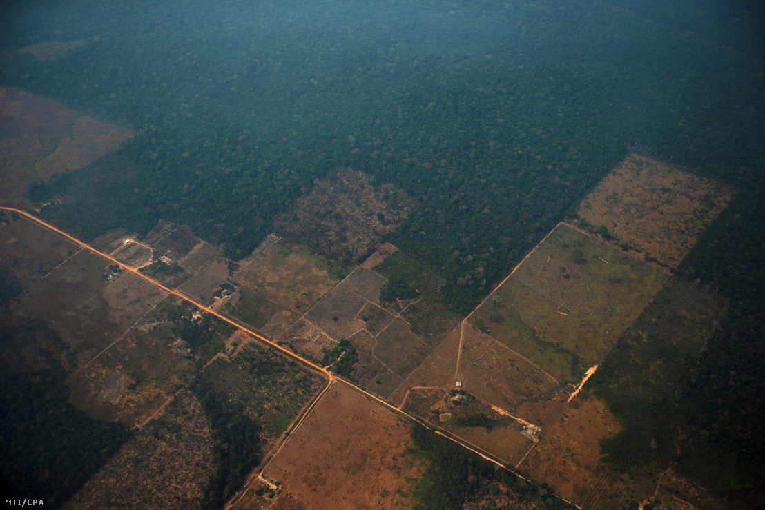 Légi felvétel kiirtott erdőkről az Amazonas-medencében.