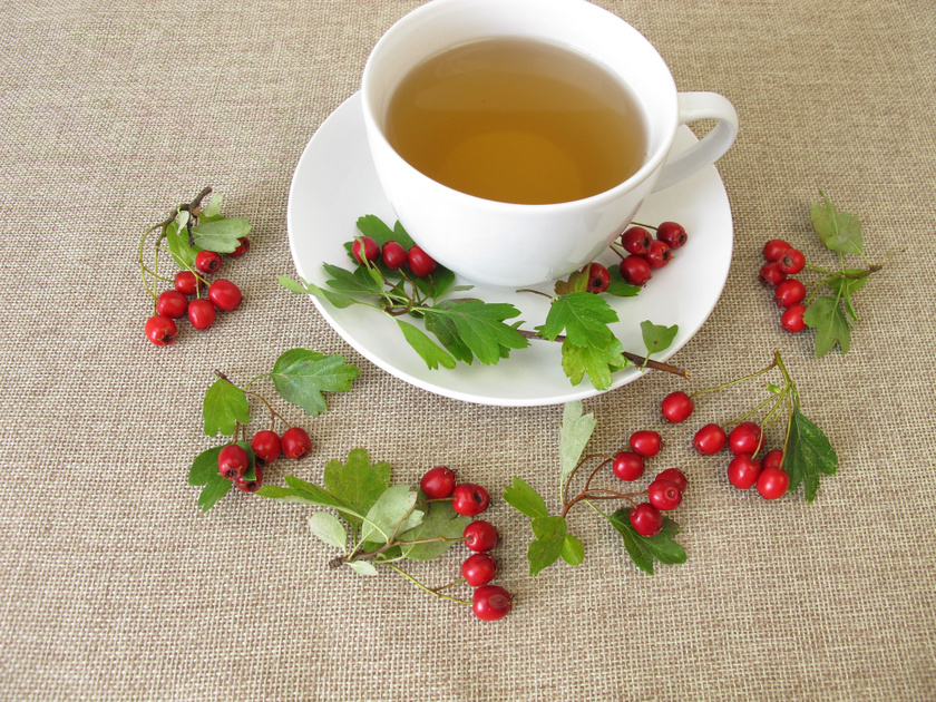 tea receptek magas vérnyomás ellen egészségügyi magas vérnyomás népi receptek