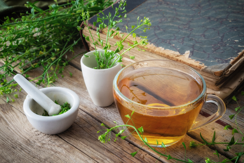 Vérnyomás csökkentő gyógynövény teák
