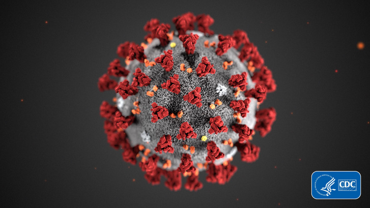 A fertőzés okozójának elektromikroszkópikus képe, a COVID-19 koronavírus