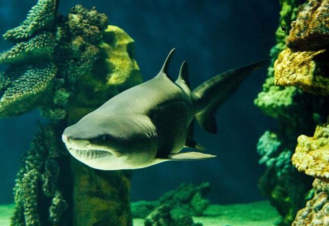 image 750x 5e67ac70ebb12