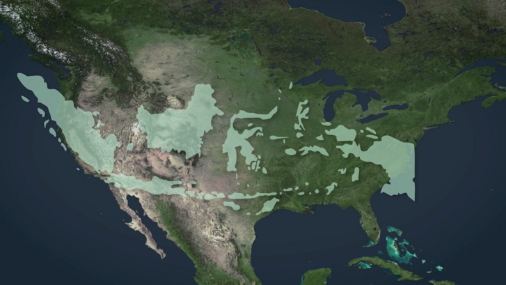Indonézia mérete az Amerikai Egyesült Államokhoz képest.