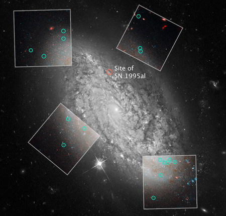 Az NGC 3021 a hat galaxis egyike, mely vizsgálható cefeidákat és egy Ia-típusú szupernóvát is tartalmaz - előbbiek a négyzetekben láthatóak, míg a szupernóva 1995-ben tűnt fel (a HST felvétele, a négyzetek a NICMOS közeli infravörös kamera képei).