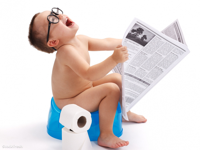 stockfresh 1598366 little-boy-sitting-on-potty-with-newspaper si