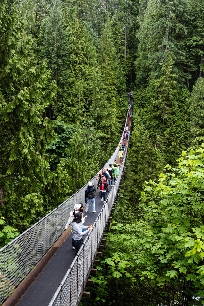 Capilano-függőhíd-kanyon