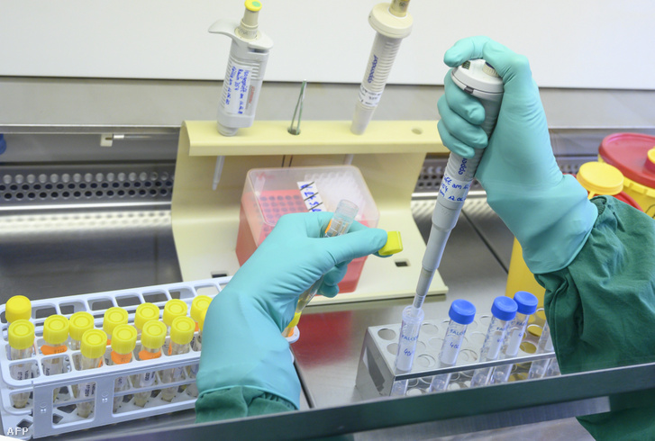 Egy stuttgarti laboratóriumban végeznek koronavírustesztet 2020. március 2-án