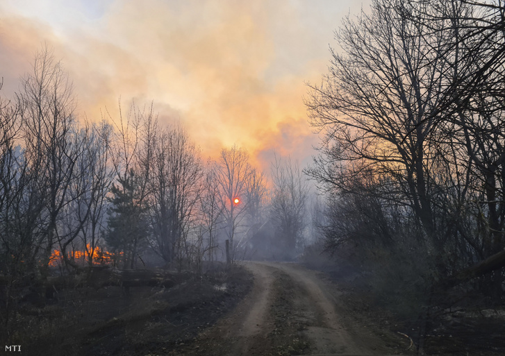 Erdőtűz a csernobili atomerőmű körüli lezárt területen fekvő falu Volodimirivka közelében 2020. április 5-én.