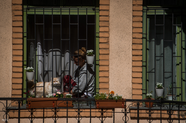 A koronavírus-járvány miatt önkéntes karanténban lévő lány budapesti otthona ablakában 2020. április 6-án