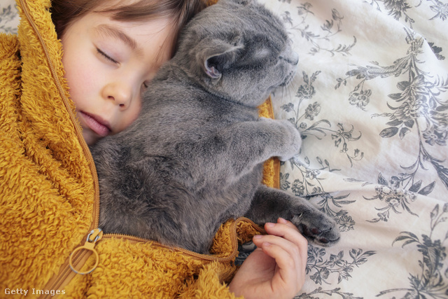 Csak óvatosan a kisgyerek és a macska együtt alvásával!