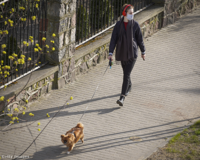 Egy nő maszkban kutyát sétáltat