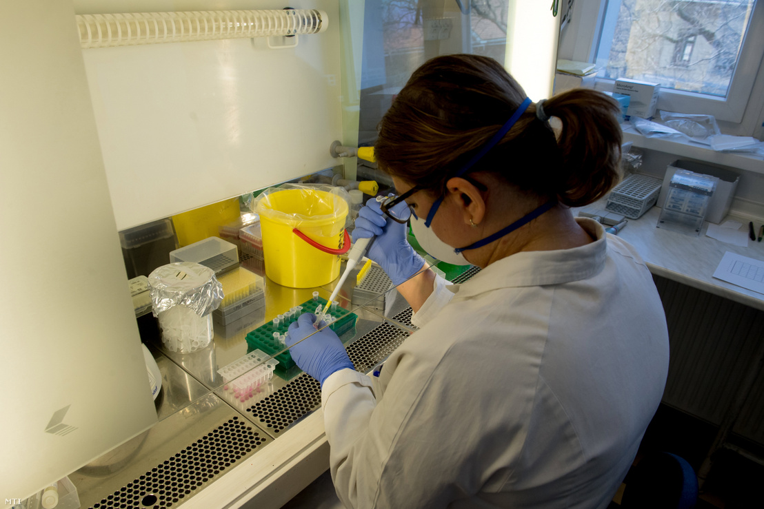 Koronavírus-mintákat tesztelnek az ország legnagyobb kifejezetten virológiai diagnosztikával foglalkozó laboratóriumában a Nemzeti Népegészségügyi Központ Virológiai Laboratóriumi Osztályán Budapesten 2020. április 3-án.