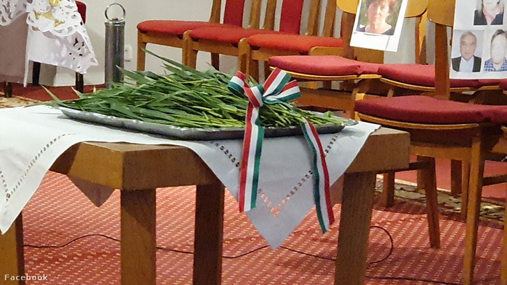 95249034 2977489055673286 5928190552322342912 o