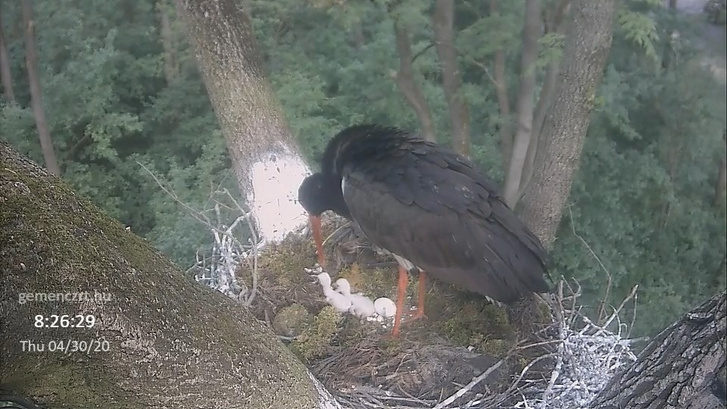 63b8c234b2678bdcdb85aeaf3a5966da61407d525df27b845936386dfb5df0db