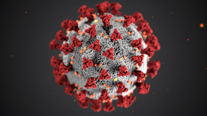 COVID-19 koronavírus elektromikroszkópikus képe