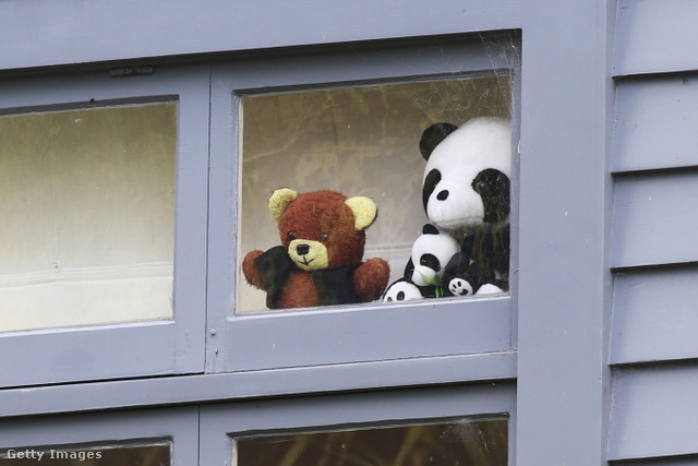 Cuki plüssállatok a miniszterelnök wellingtoni rezidenciájának ablakában a kijárási korlátozások idején