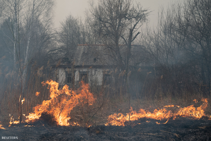 Lángoló erdő Csernobil közelében 2020. április 18-án