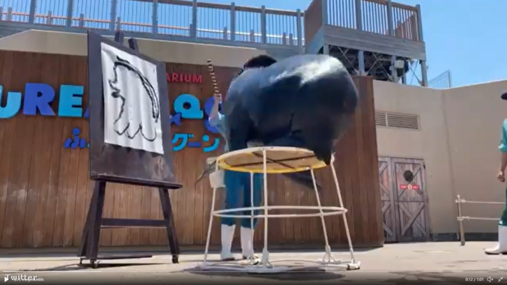 Képernyőfelvétel (46).png