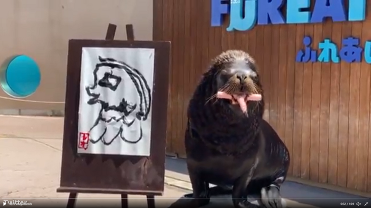 Képernyőfelvétel (47).png