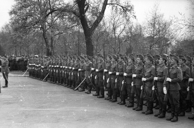 Díszelgő katonák a Kerepesi temetőben 1957 áprilisában a Rádiónál elesettek temetésén