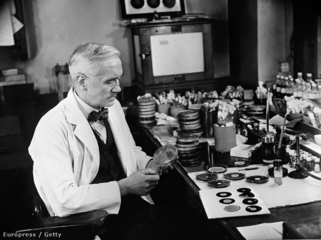 Sir Alexander Fleming (1881 - 1955)