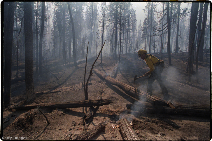 Tűzoltó a nagy tűzvész után Yellowstone Nemzeti Parkban 1988-ban.