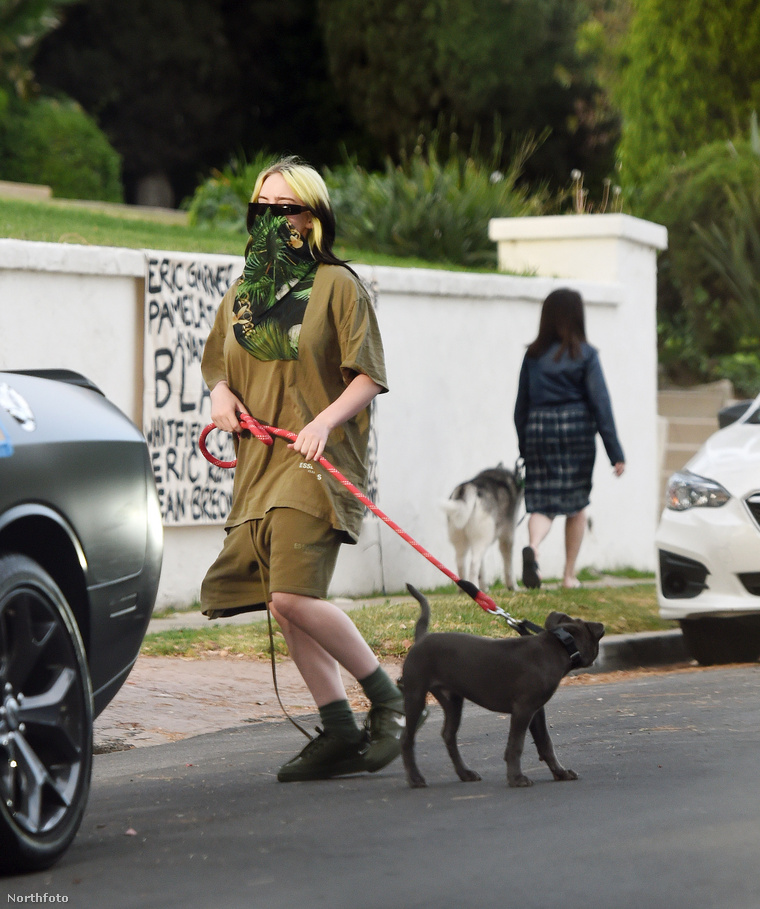 Billie Eilish kutyát sétáltat 2020. június 2-án.